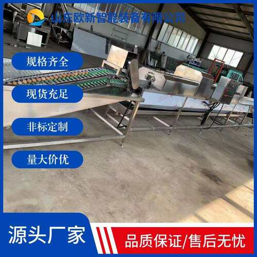高产量洗蛋机禽蛋类蛋品清洗机鸭蛋洗刷喷油风干自动化流水线设备