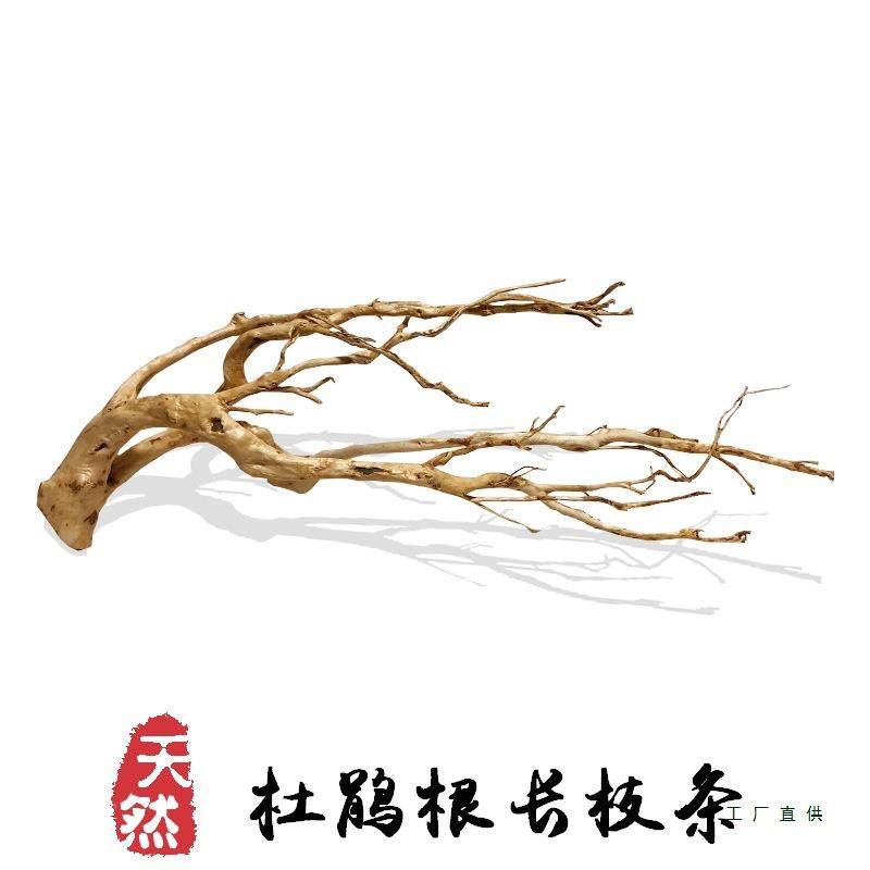 杜鹃根枝条沉木水草造景树枝木头装饰花艺站台南美缸树形鱼缸细枝