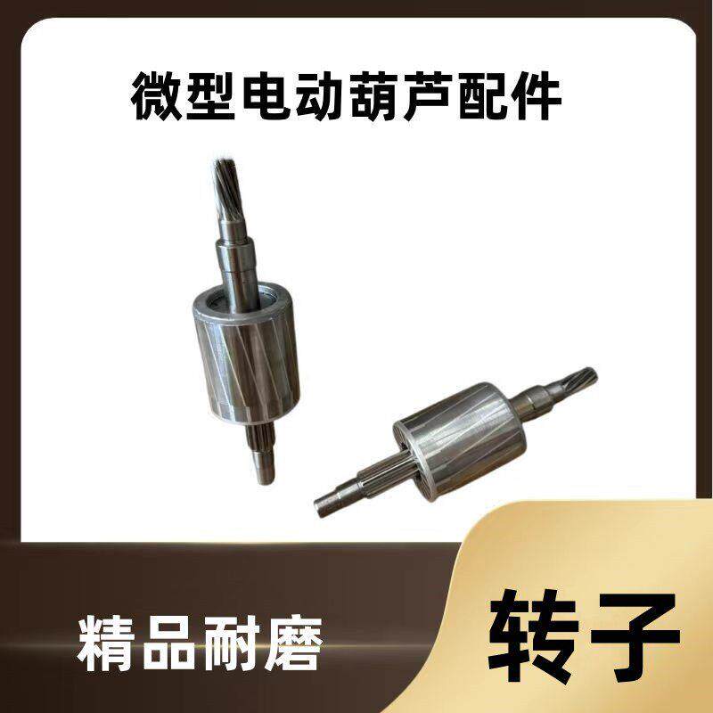 微型电动葫芦转子定子齿轮220v小吊机提升机卷扬机起重机配件大全图片