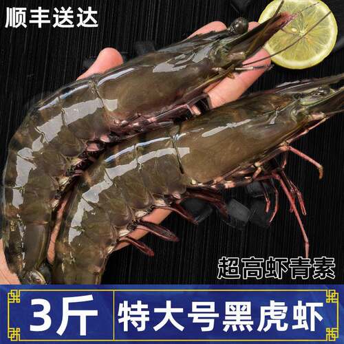 特大号黑虎虾鲜活超大无冰新鲜冷冻海鲜水产虾青素斑节虾老虎虾