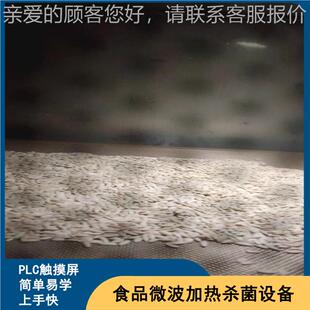 黄瓜干籽微烘烤设备 盐霜瓜子方熟化烘机波 流水LM-20KW-作业便