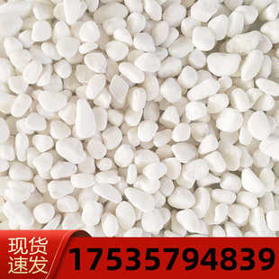 四川白石子天然白色石头雨花石鹅卵石多肉铺面小白石子鱼缸造景铺