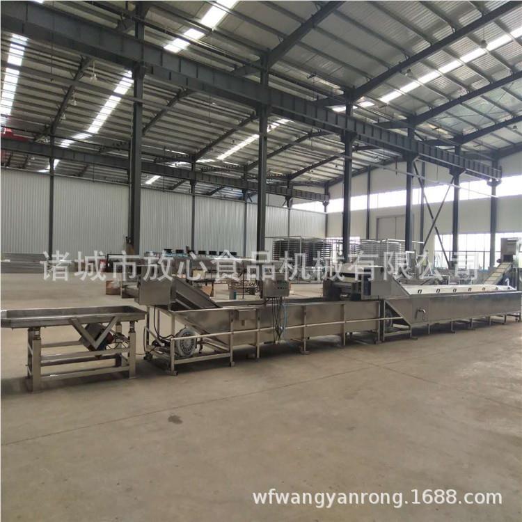 自动玉杀青烫机 玉米水煮价格 可加工定做 米型FX-1000号机 漂玉