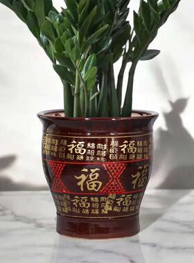 特大号高陶瓷花盆树金钱口径中客大厅10005国式风落地花开富档贵