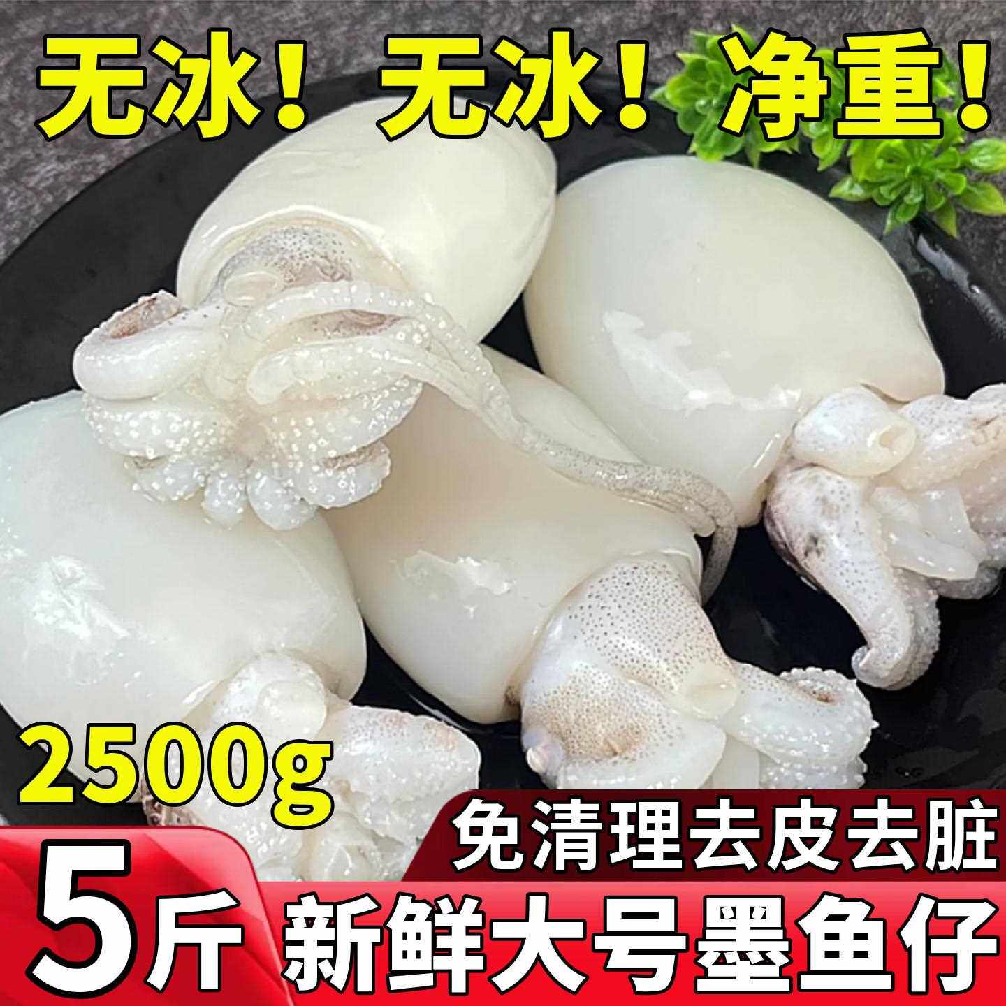 新鲜墨鱼仔冷冻小墨鱼无包急冻活五斤乌贼小鱿鱼捞汁小海鲜商用
