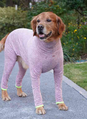 宠它秋冬防掉毛大型犬衣服护肘全包宠物四脚衣金毛拉布拉多衣服