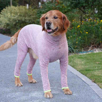 宠它秋冬防掉毛大型犬衣服护肘全包宠物四脚衣金毛拉布拉多衣服
