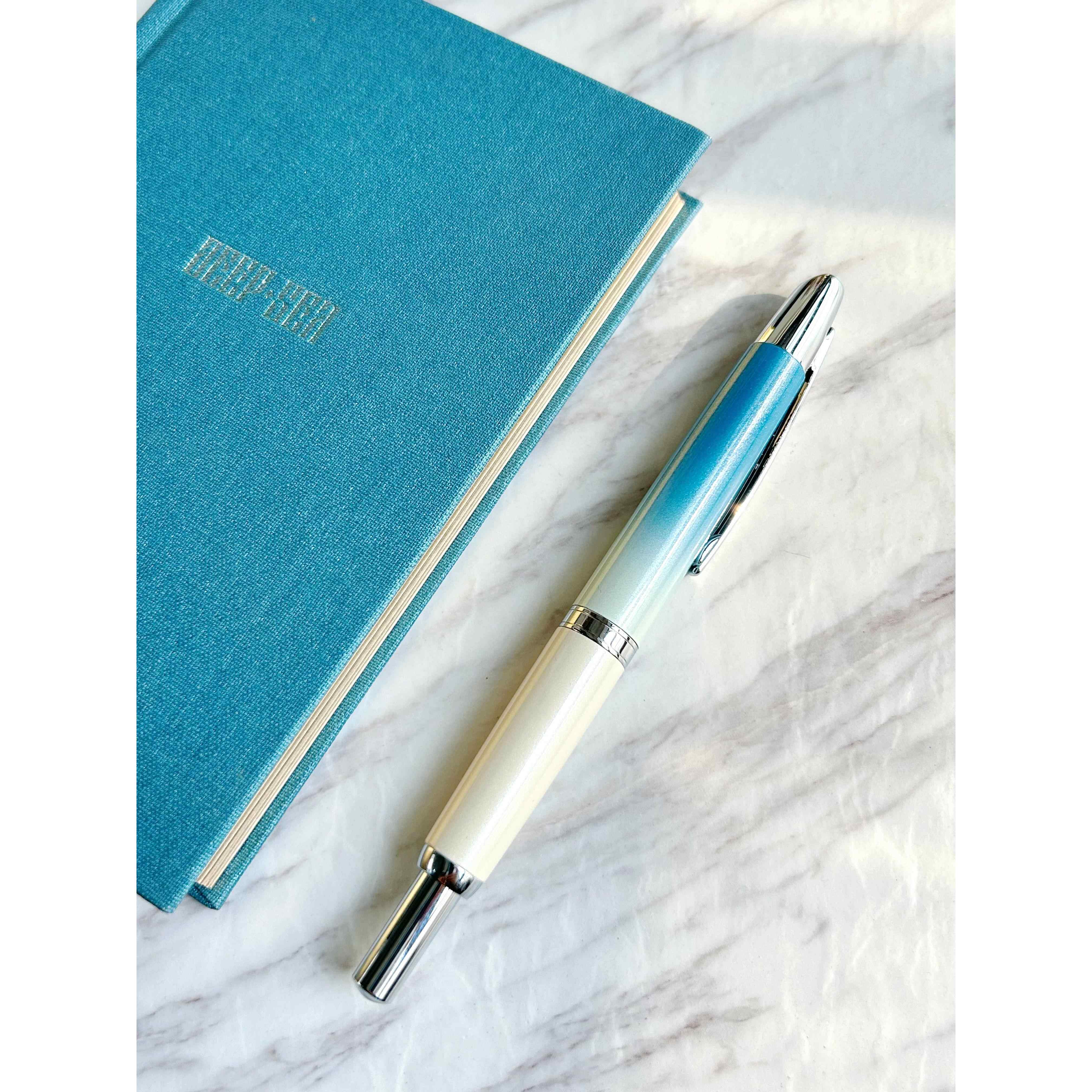 金豪A10按动钢笔按压学生日用笔海岸沙滩正姿练字硬笔渐层咖蓝黄