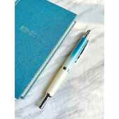 金豪A10按动钢笔按压学生日用笔海岸沙滩正姿练字硬笔渐层咖蓝黄