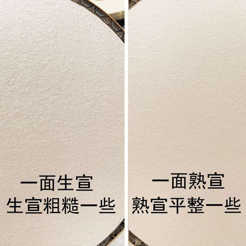 双面加厚宣纸空白团扇子宫扇悬挂式挂屏工笔画玄关书房墙画挂扇面