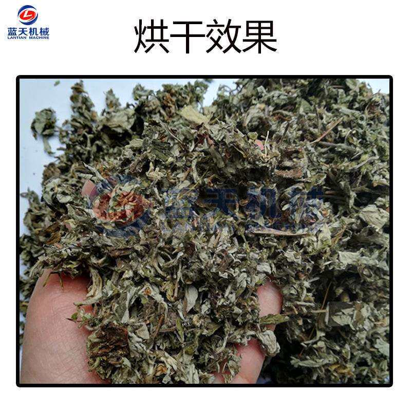 蓝天艾叶烘干机 小型商用艾蒿家艾除湿烘干箱 智能艾草叶烘干设备