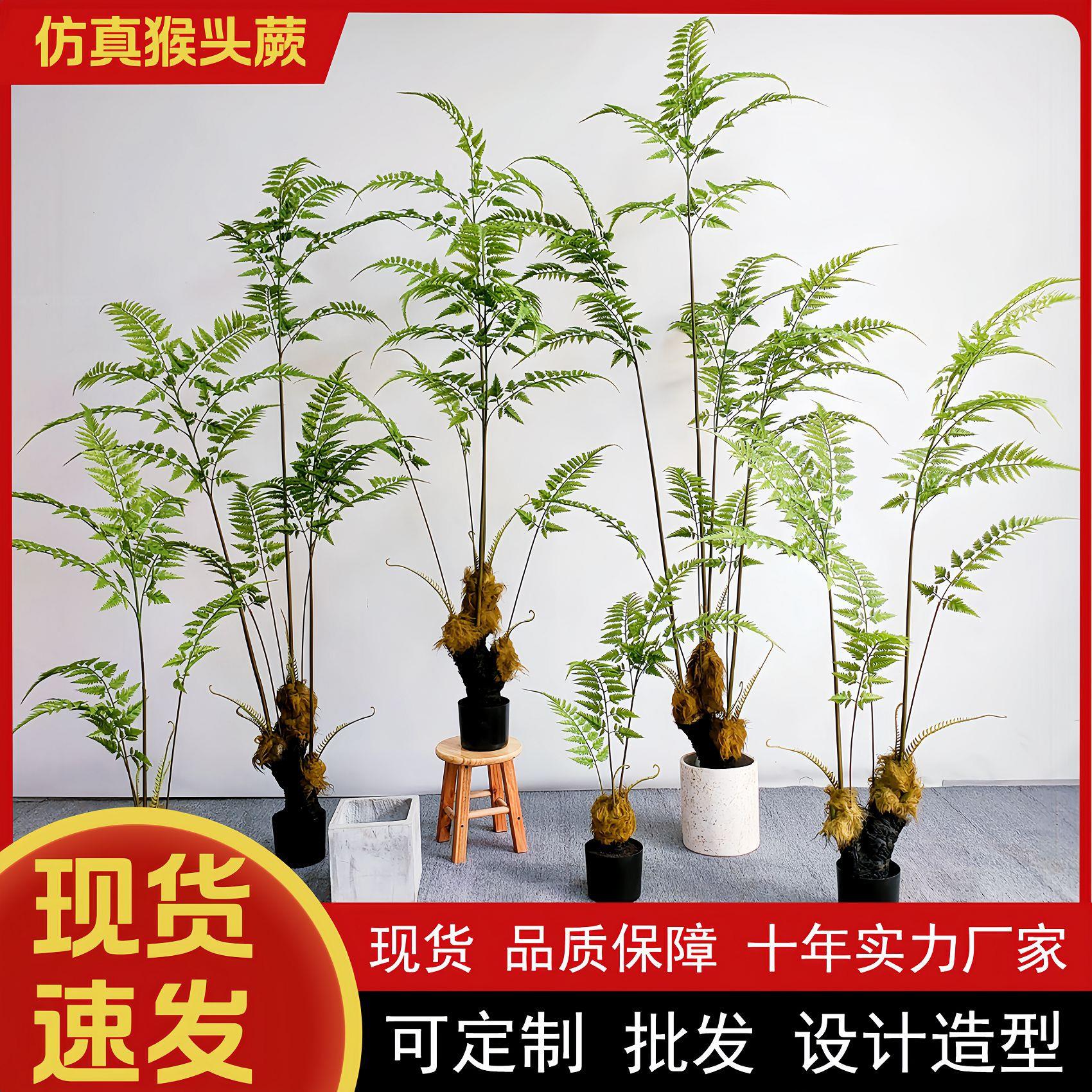 仿真猴头蕨金毛狗蕨假树室内中式园林系庭院造景装饰绿植物 盆栽
