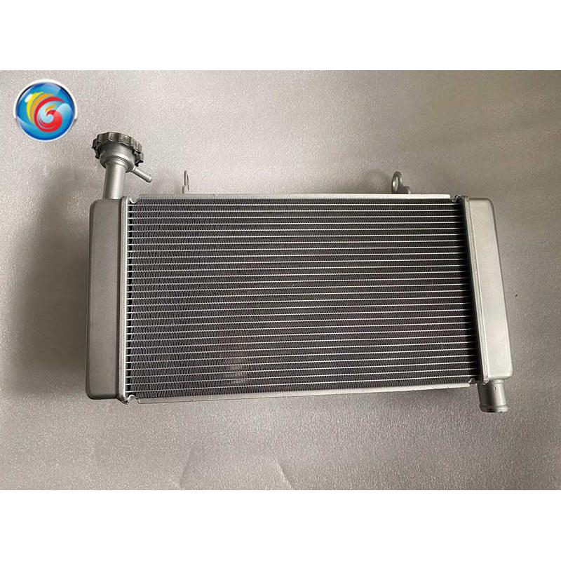 适用于钱江摩托赛600 QJ600GS-3B水箱散热器冷却器