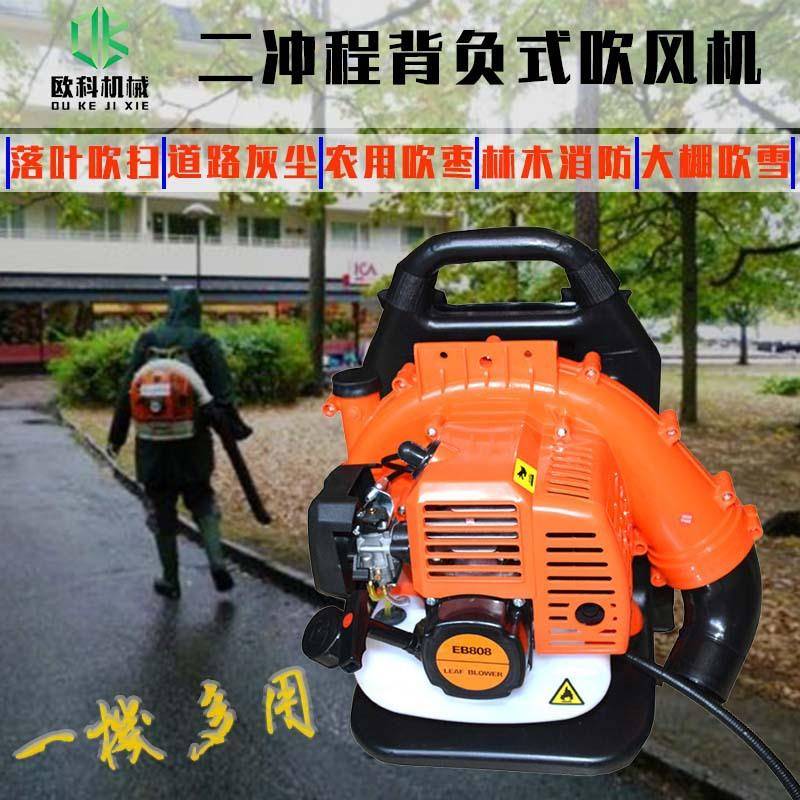 场背负式森林灭火器16马力小区绿化落叶吹风.机露天地除湿吹干机