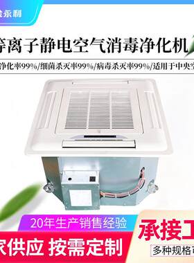 商用吊顶吸顶式等离子静电空气净化器 空气消毒机 杀菌除尘