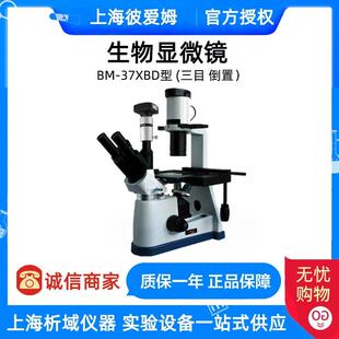 上海彼爱姆-37XBD电脑倒置生物显微镜