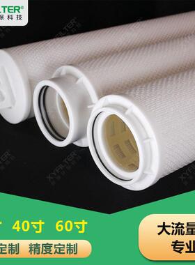 大流量滤芯PF1-40GXNPSB保安过滤器冷凝水滤芯