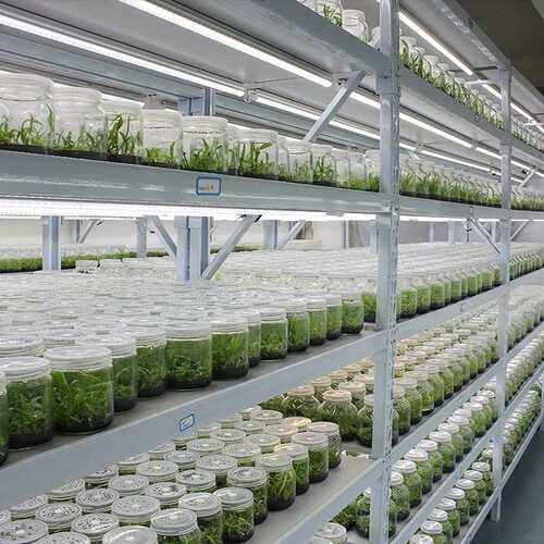 批发植物组培架多层光照LED培养架实验室植物生长架育苗生长架