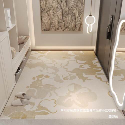 厂家直销工厂销新款入户asdw门地垫直口轻奢进门地门毯门垫家用脚