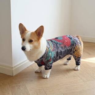 【社会狗】狗狗衣服夏季薄款纹身衣猫狗四脚衣透气背心2026新款