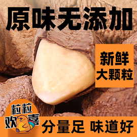 新货原味鲍鱼果巴西坚果干果沙漠果罐装孕妇儿童休闲零食袋装