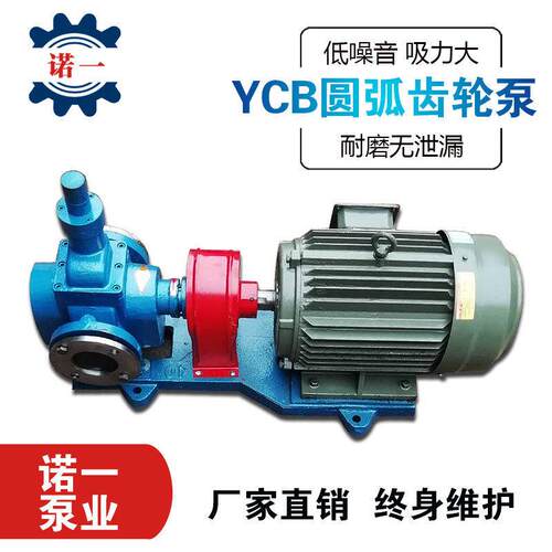 大流量齿轮泵压力圆弧齿轮油泵无泄漏低噪音抽油泵汽柴油输送泵