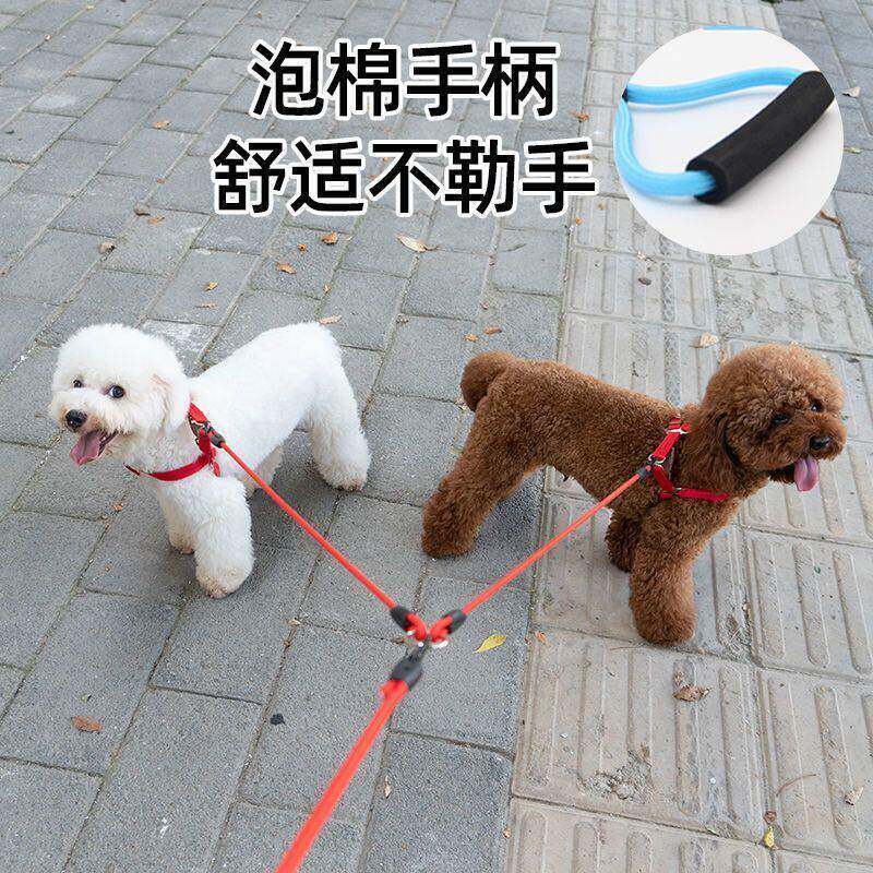 狗狗牵引绳一拖二遛狗绳子双头两只小中小型大型犬宠物泰迪链子
