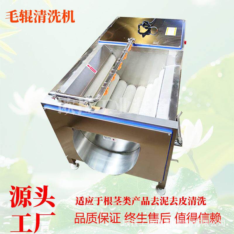 小型根茎类果蔬清洗去皮机 白芷毛辊清洗去皮 不锈钢自动去皮机械
