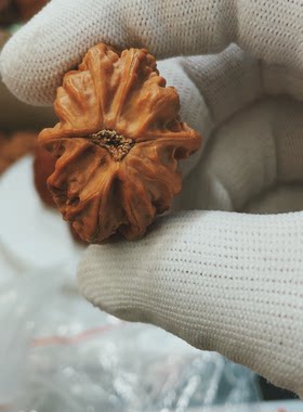 原树方块单只36特价核桃拍11月27