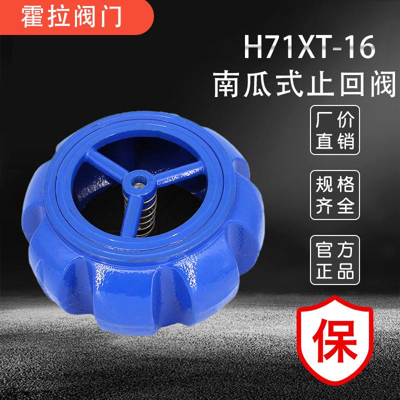 H71XT-16南瓜对夹式消声止回阀弹簧南瓜型逆止阀止回阀DN40-DN300