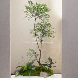 森空间仿真绿植造景入户楼梯橱窗微景观玄关角落植物摆件苔藓软装