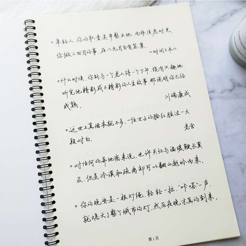 可爱日子 茱茱手写体字帖成人学生行书男生女生钢笔硬笔练字本