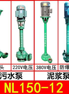 NL150-12泥浆泵立式鱼塘清淤粪便排污泵6寸