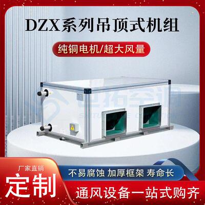 DZX系列吊顶式机组 远程射流空气净化空调 6排铜管吊顶式空调机组