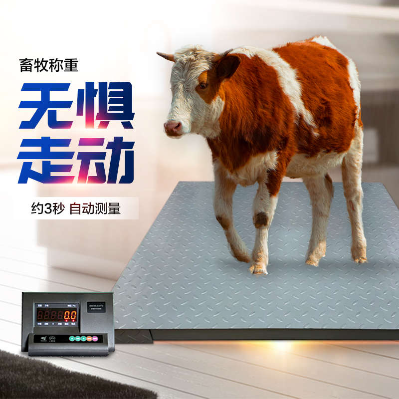 上海耀华地磅秤称猪秤牛秤羊防抖动1-3吨平台工业小型电子地磅称