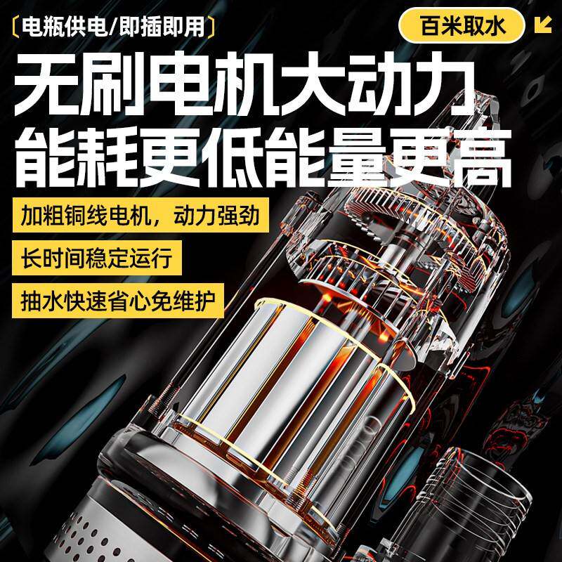 电瓶车用潜水用灌溉浇菜大流量无刷直流抽水泵12V农专48V泵60V72V