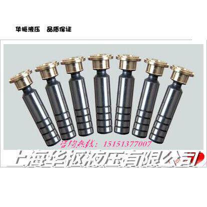 10 16 25 32 40 63 80 100 160 250 400CY14-1B柱塞滑靴 柱塞配件