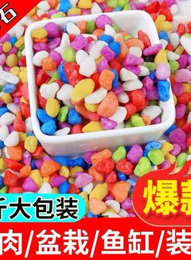 五彩石子环保自然铺面造景染色装饰小石头庭院花盆栽铺路小白石子