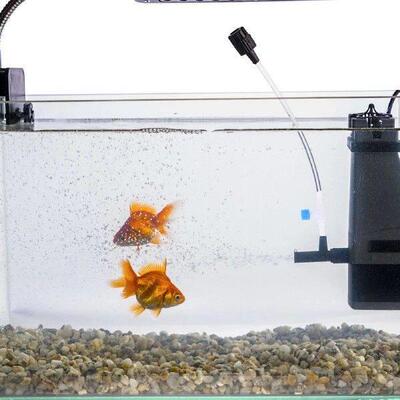 30 Pcs Fish Tank Direct Air Valve Professional Aquarium