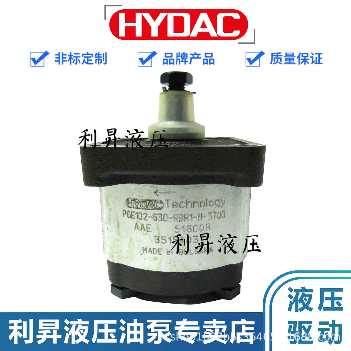 -//-250贺 德克100 3700pge101泵n-- rbq1齿轮500technologyhydac