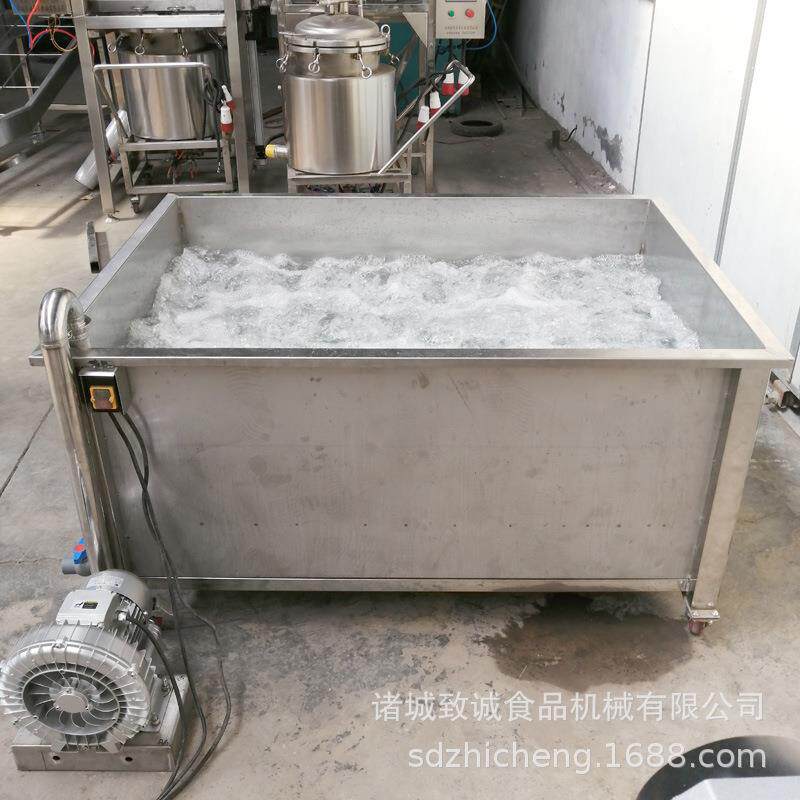 气泡翻滚清洗机 不锈钢山野菜连续清洗设备 竹笋去杂质清洗池