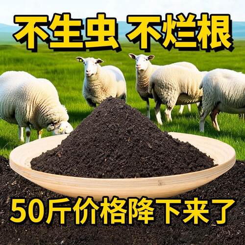 羊粪发酵有机肥蔬菜专用内蒙古腐熟羊粪肥有机肥料羊屎粪蛋