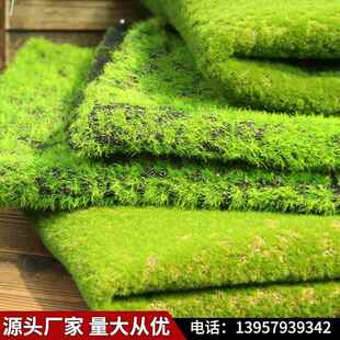 景仿真青苔草坪假绿苔藓室内人造草皮植植物墙背景ETQ装观饰