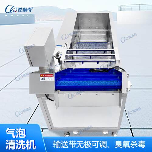 采用循环水冲浪气泡清洗机广泛使用适合净菜加工地区蔬菜类清洗