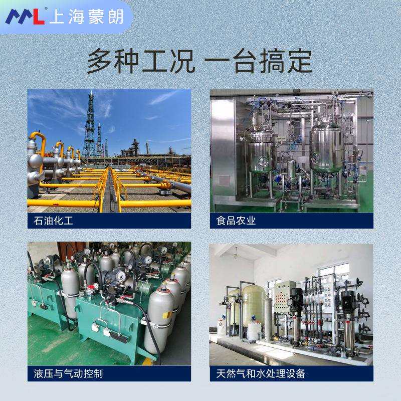 DLS-27XiM-11-C-R0-G E12 阻抗谱开关 替代捷克DINEL迪耐尔液位计