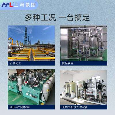 DLS-27XiM-11-C-R0-G E12 阻抗谱开关 替代捷克DINEL迪耐尔液位计