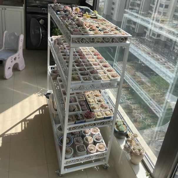多肉专用花架带轮移动植物多层铁艺推车阳台客厅走廊补光灯防晒遮