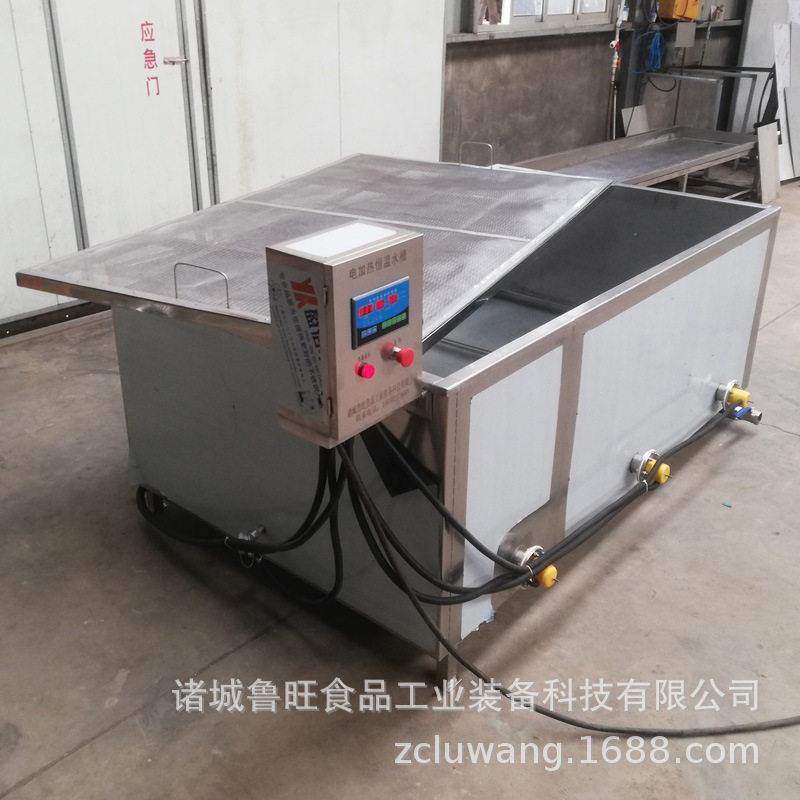 猪肉丸子成型槽 火锅丸子定型蒸煮设备 鸡腹丸子汤煮槽