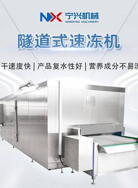 商用隧道式速冻机用于蔬菜水果海鲜和材的冷冻设备 水饺和肉类