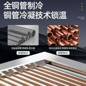 麻辣烫展示柜保鲜柜串串商用设备全套冷藏冷冻冰箱冒菜烧烤点菜柜